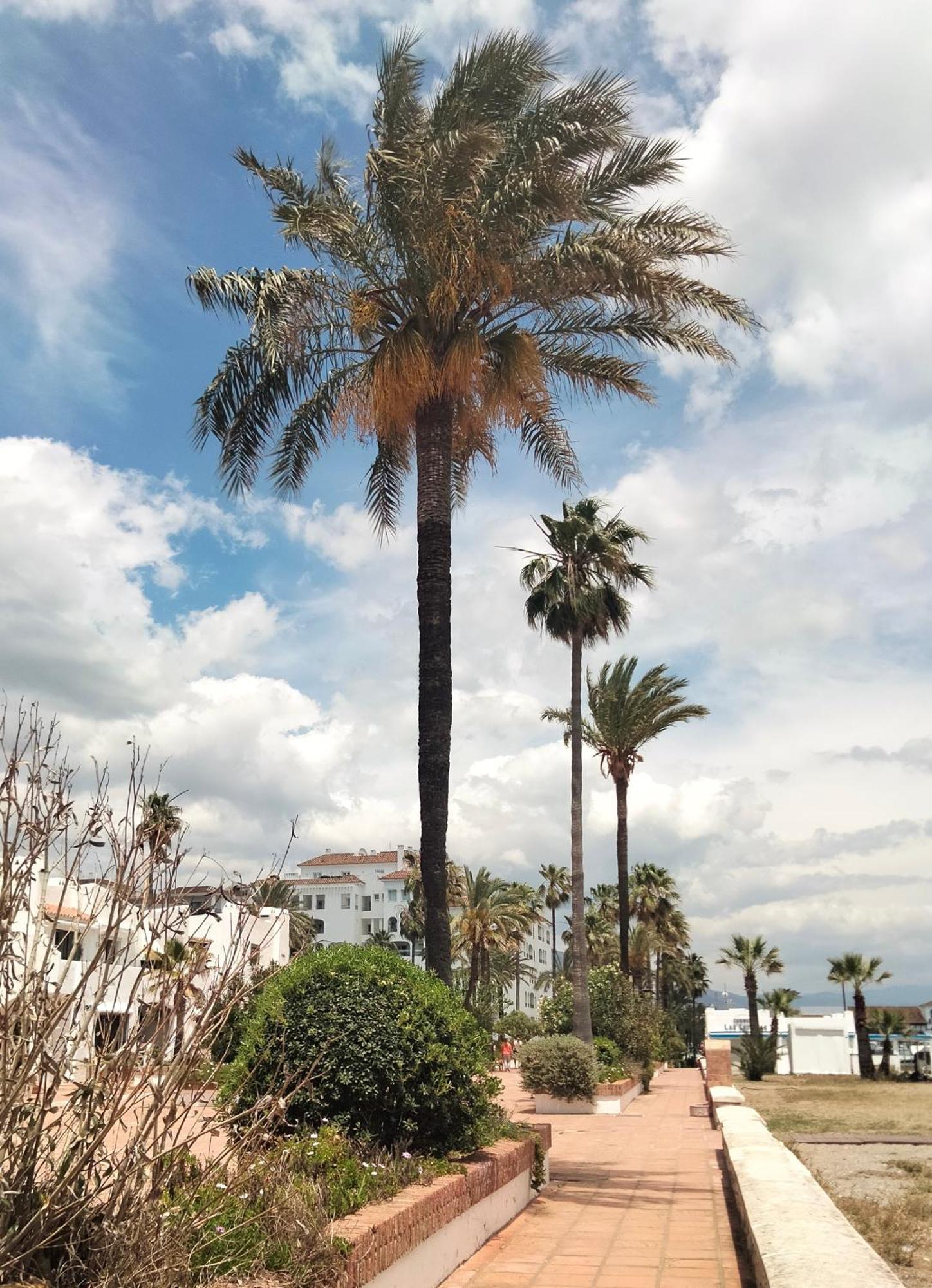 Apartamento Primera Linea De Playa Manilva Dış mekan fotoğraf