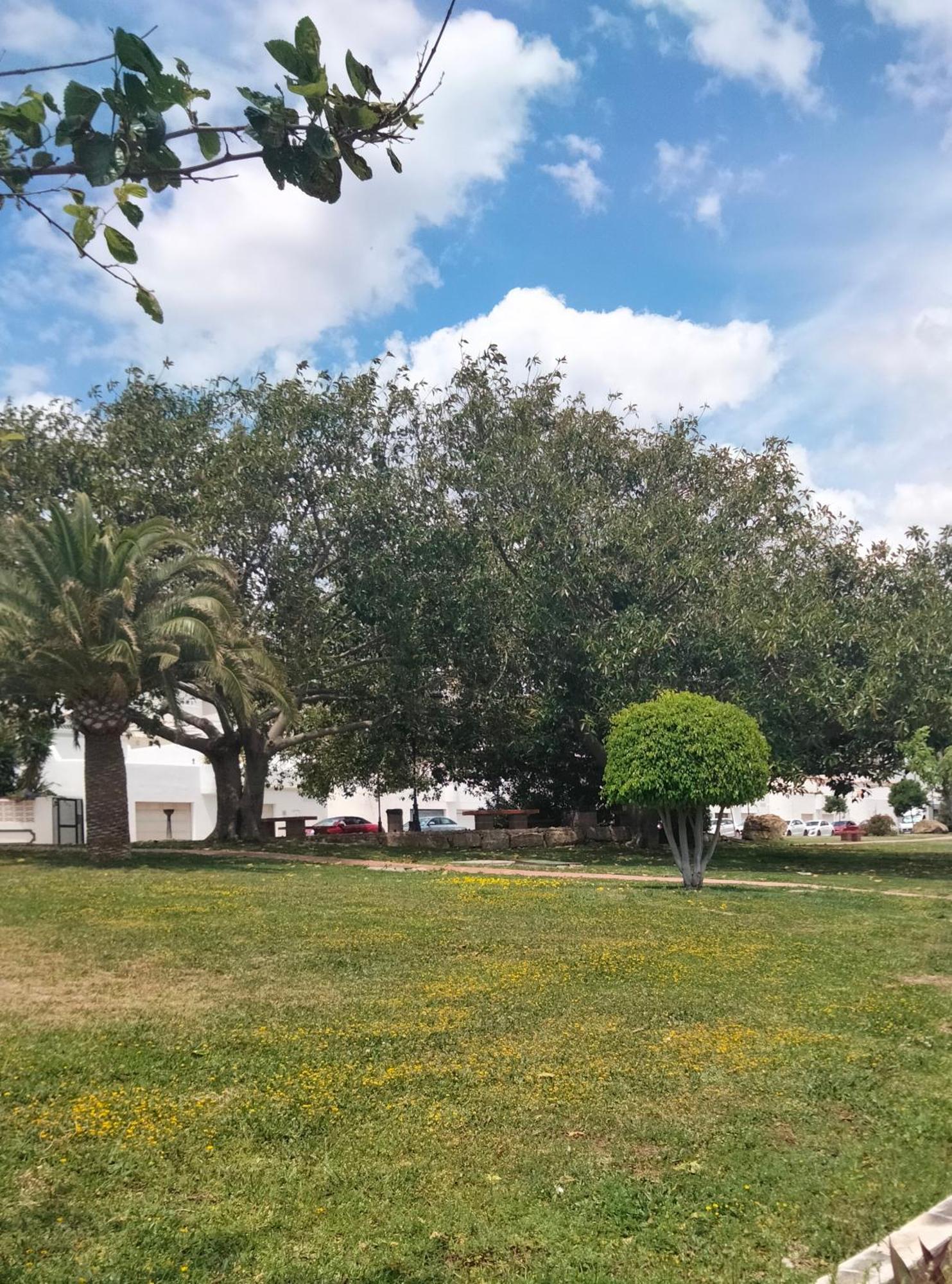 Apartamento Primera Linea De Playa Manilva Dış mekan fotoğraf